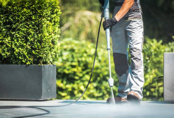 Best Gutter Cleaning and Brightening in Medina, TX