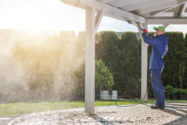Best Roof Cleaning and Mildew Removal in Medina, TX
