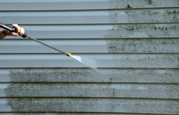 Best Fence Cleaning and Maintenance in Medina, TX